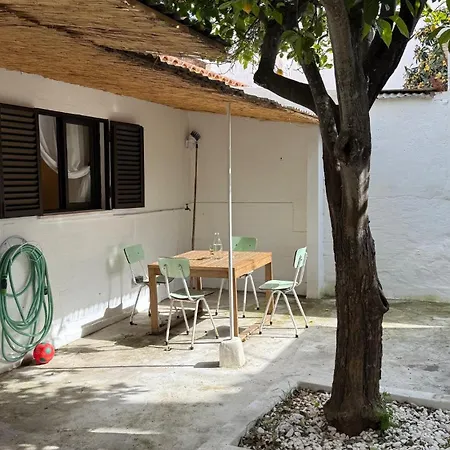 펜션 Lemon And Avocado House