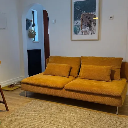 Lemon And Avocado House *