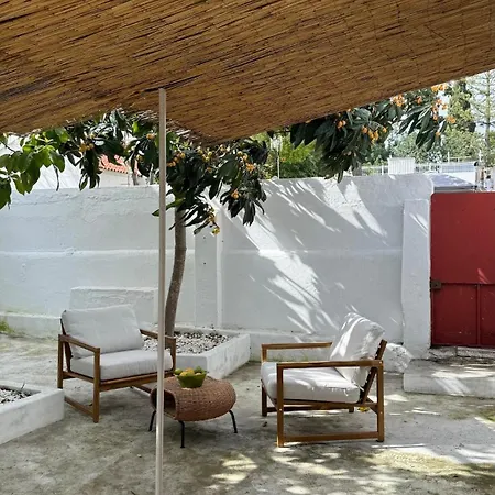 Lemon And Avocado House Holiday home Portimao